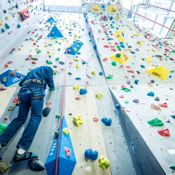 Bild einer Person auf einer Kletterwand. 