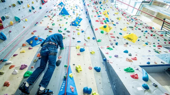 Bild einer Person auf einer Kletterwand. 